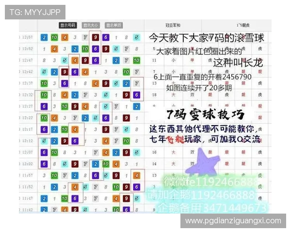 PG电子技巧分享论坛：高手玩家的实战经验总结与提升技巧的最佳交流平台
